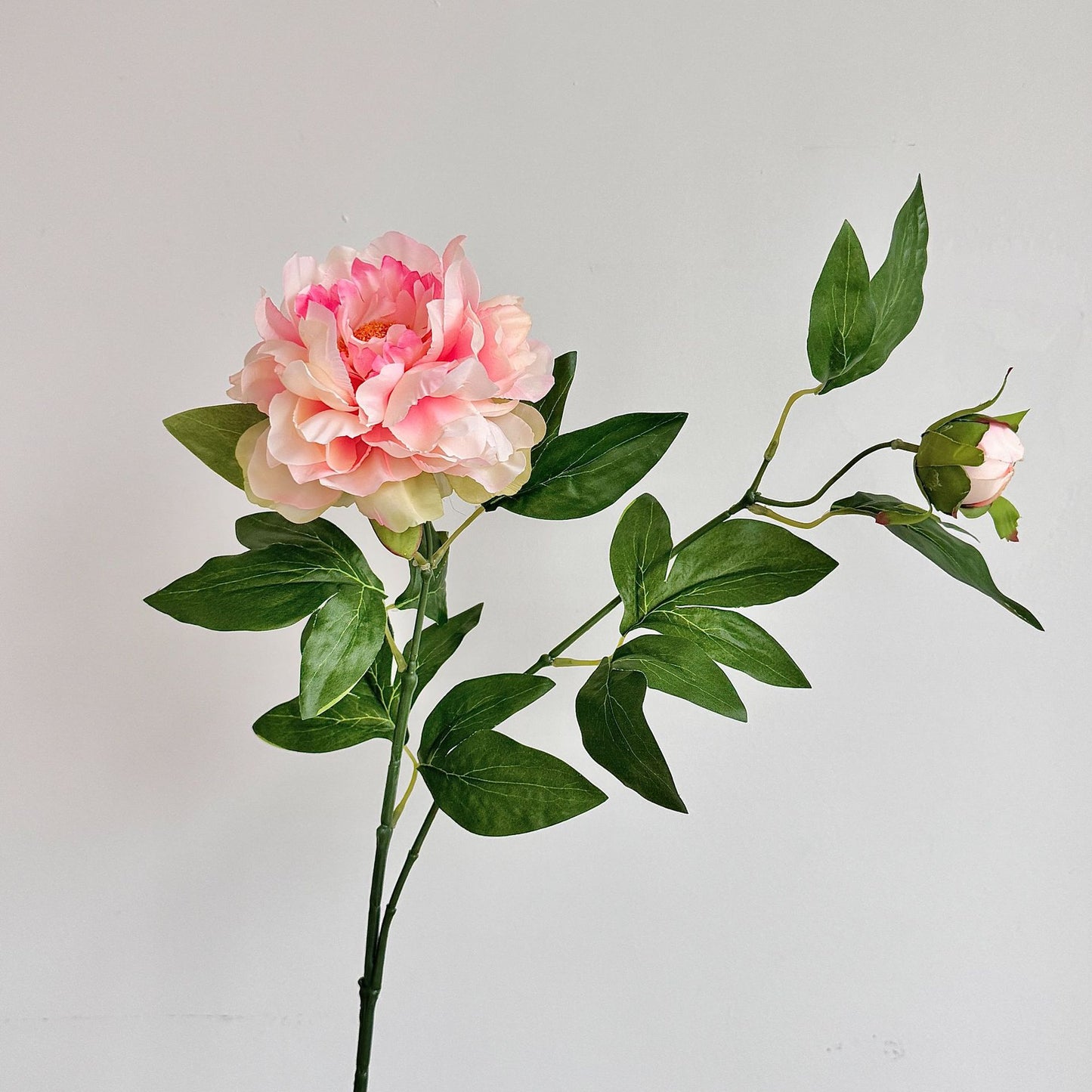 Chinese peony, Artificial Flower, 8Pcs a Pack