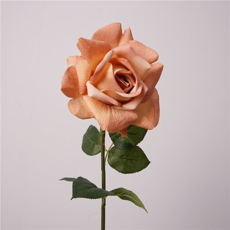 Austin rose, Artificial flower, High quality, moisturizing feel, 8Pcs a Pack