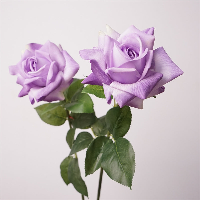 Austin rose, Artificial flower, High quality, moisturizing feel, 8Pcs a Pack