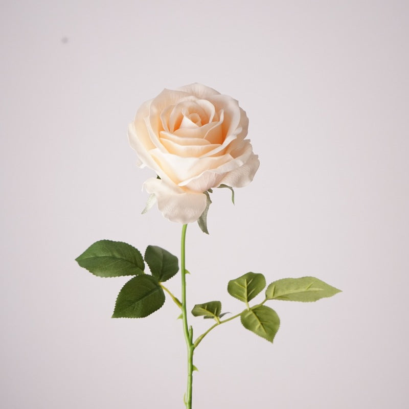 Mondial Rose, Fantasia mondiale, Artificial Flower, 6/12/24Pcs