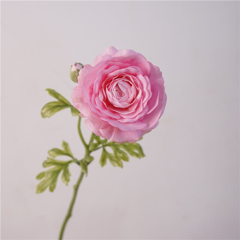 Ranunculus, persian buttercup, Artificial Flower, 6/12/24Pcs