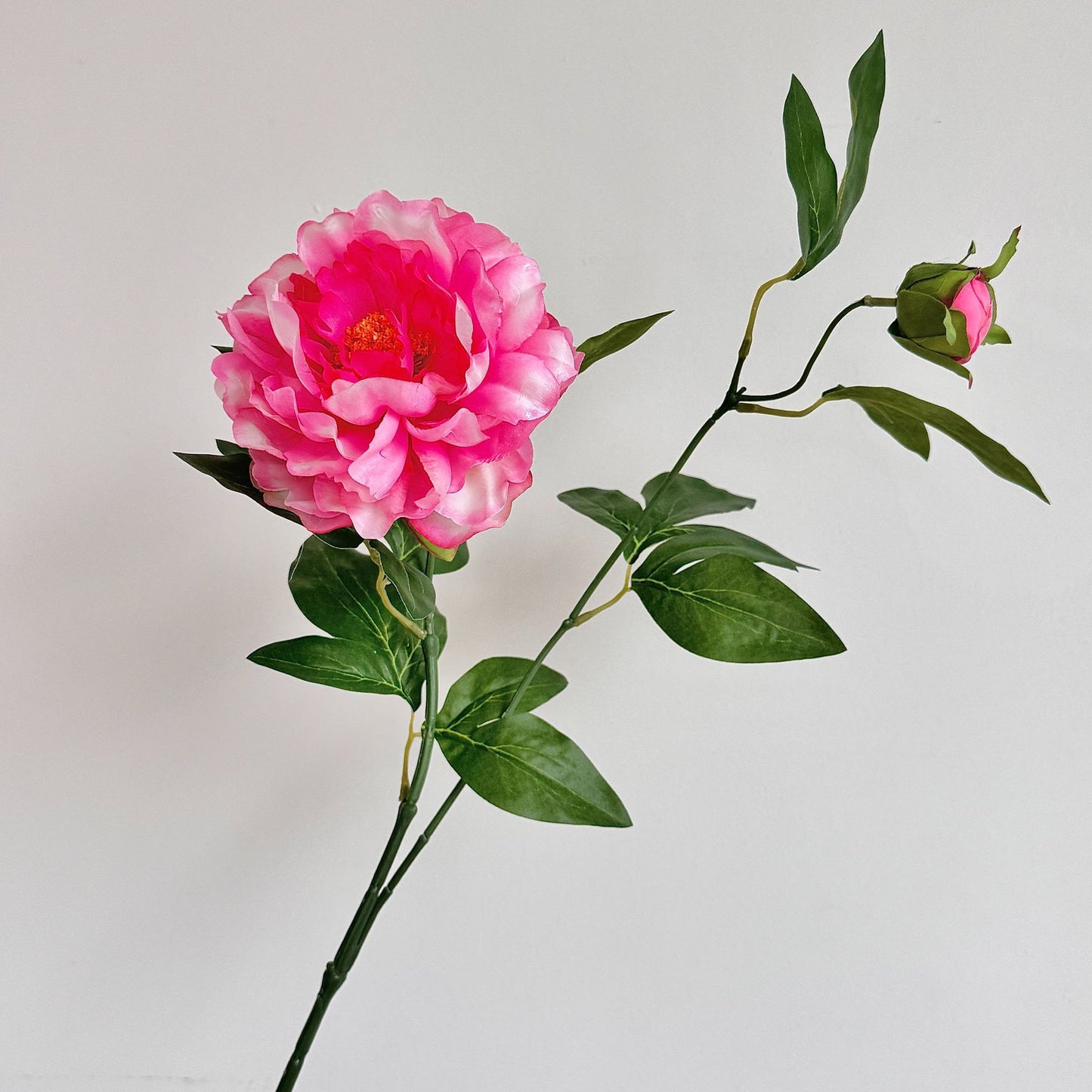 Chinese peony, Artificial Flower, 8Pcs a Pack
