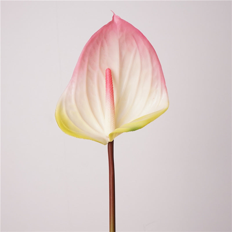 Anthurium, flamingo lily, Artificial Flower, 6Pcs/12Pcs/24Pcs