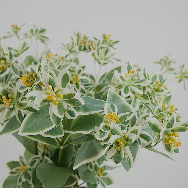 Euphorbia marginata, Artificial Plant, snow-on-the mountain,ghost weed, 12Pcs/24Pcs