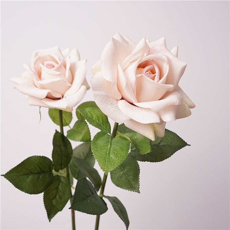 Austin rose, Artificial flower, High quality, moisturizing feel, 8Pcs a Pack