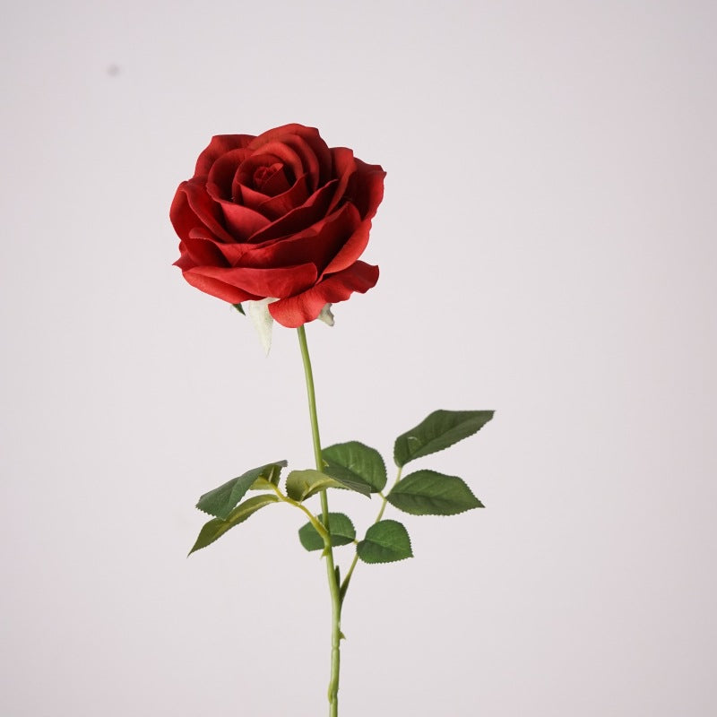 Mondial Rose, Fantasia mondiale, Artificial Flower, 6/12/24Pcs
