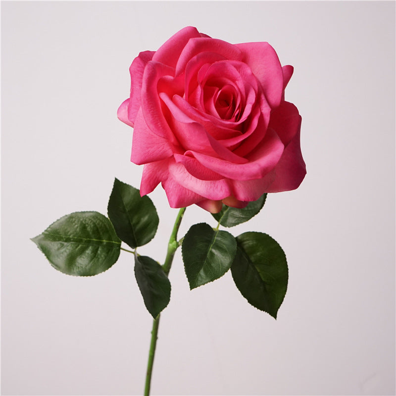 Song of the sea, Rose, Artificial FLower, Vivid
