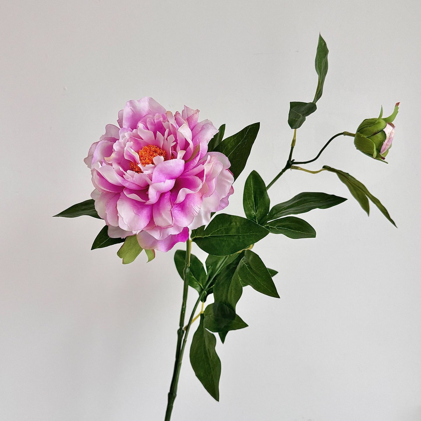 Chinese peony, Artificial Flower, 8Pcs a Pack