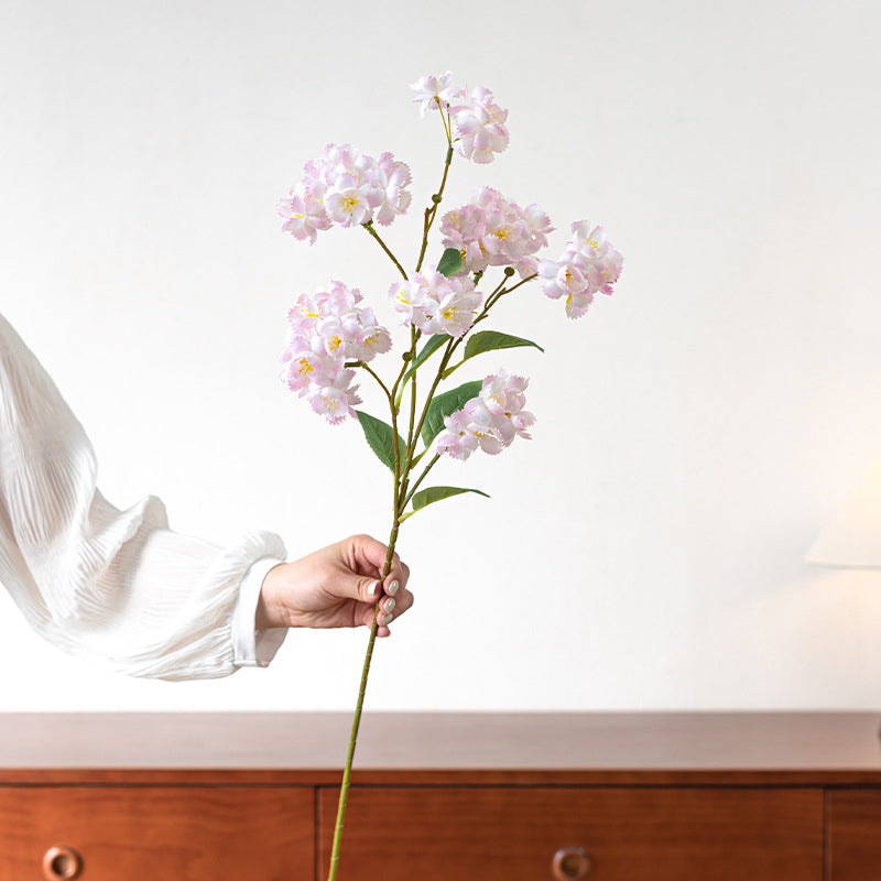 Oriental cherry, Sakura, Cherry blossom, Artificial Flower