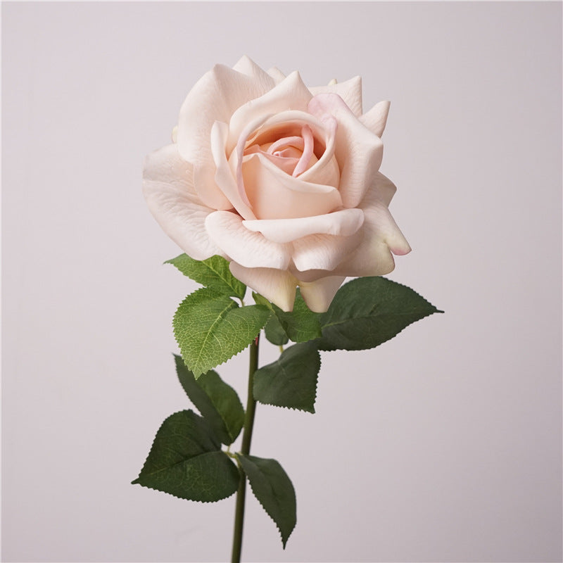 Austin rose, Artificial flower, High quality, moisturizing feel, 8Pcs a Pack