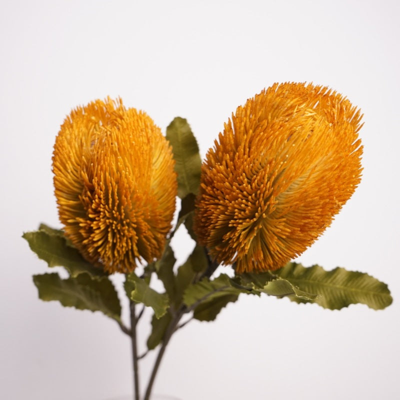 Australian banksia, Artificial Plant