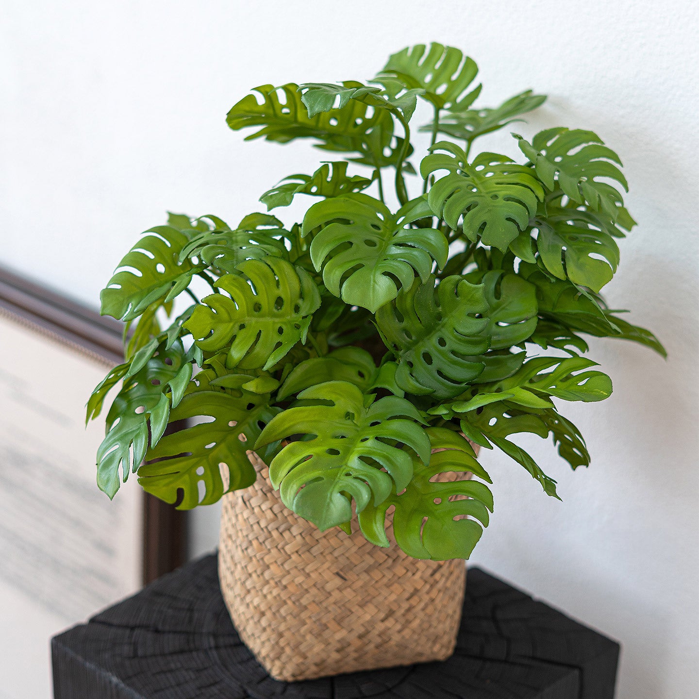 Monstera deliciosa, 12 leaves a bunch, Artificial Plant