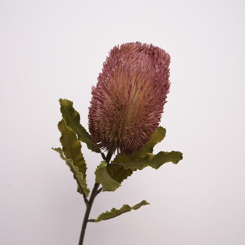 Australian banksia, Artificial Plant