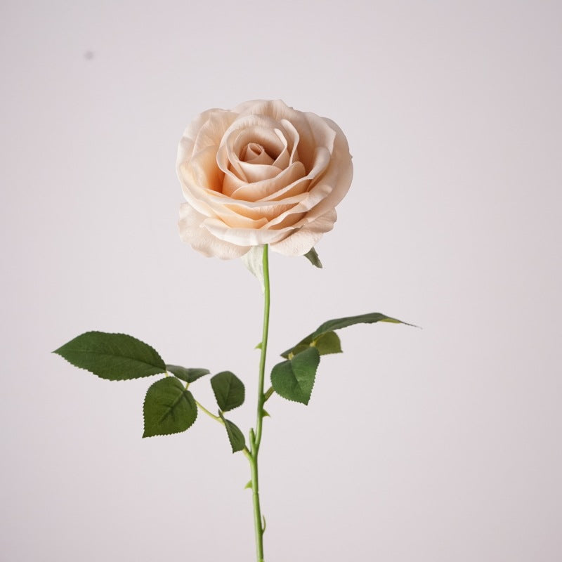 Mondial Rose, Fantasia mondiale, Artificial Flower, 6/12/24Pcs