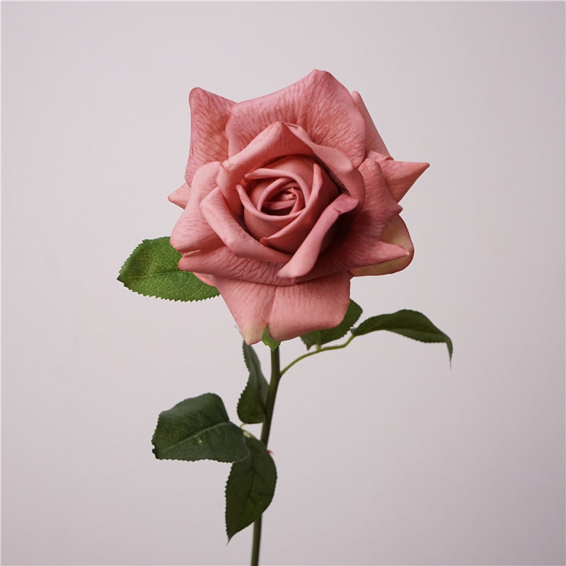Austin rose, Artificial flower, High quality, moisturizing feel, 8Pcs a Pack