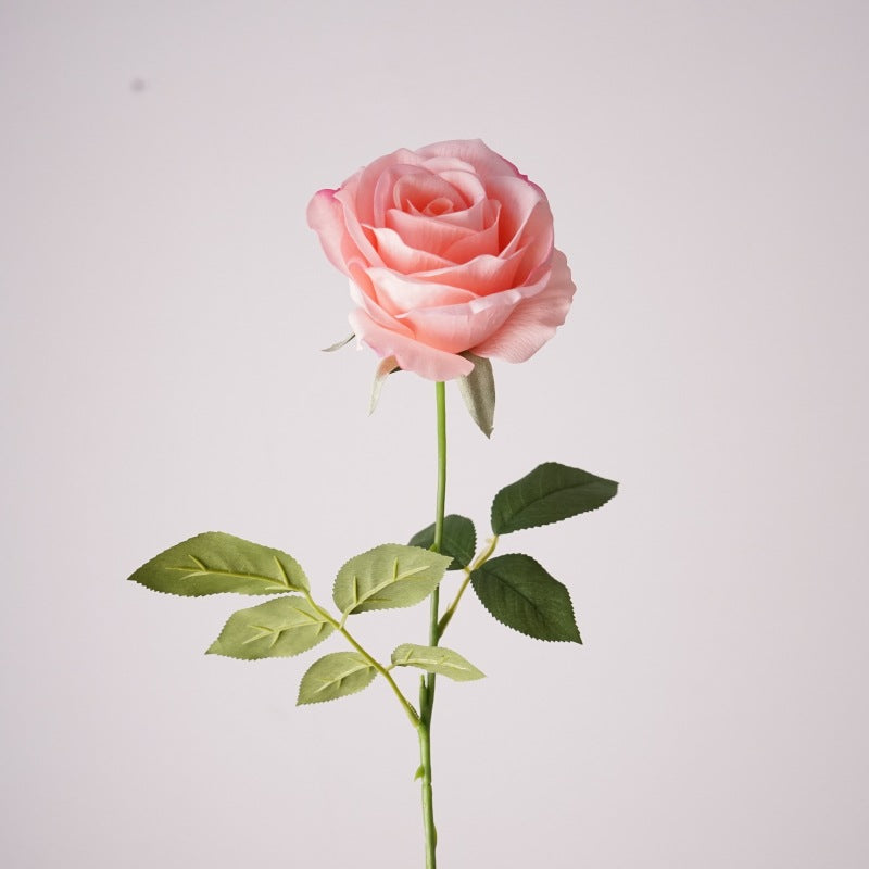 Mondial Rose, Fantasia mondiale, Artificial Flower, 6/12/24Pcs