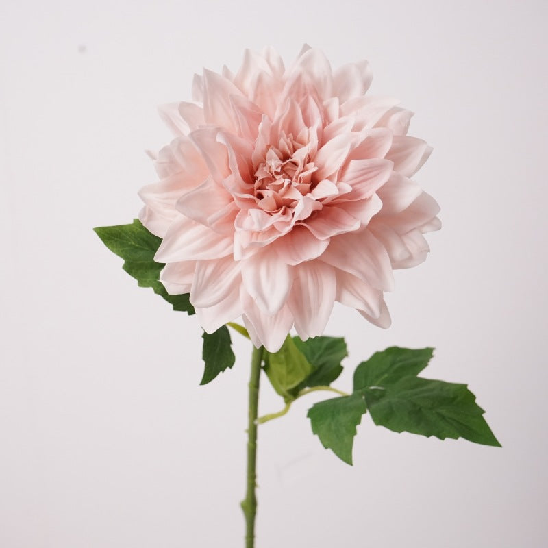 Dahlia, Vivid Artifical flowers, 6Pcs a Pack