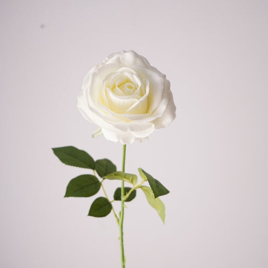 Mondial Rose, Fantasia mondiale, Artificial Flower, 6/12/24Pcs