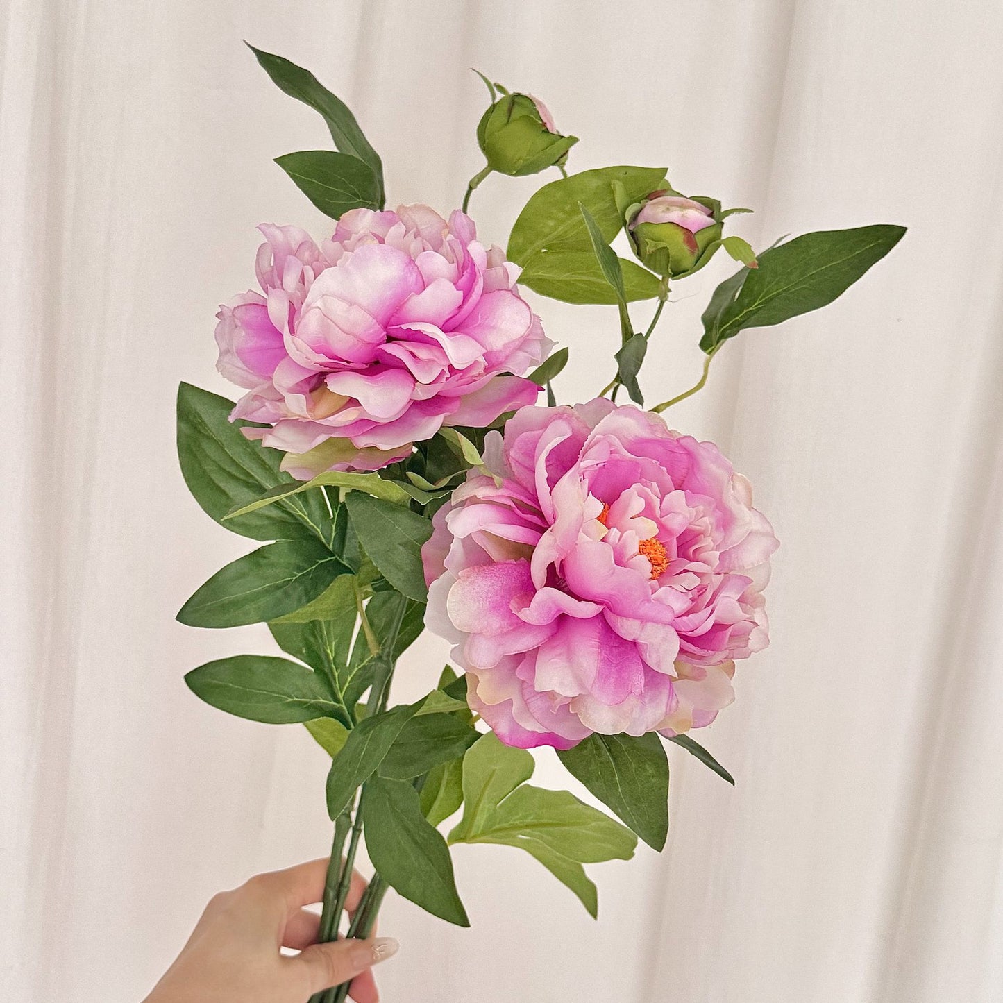 Chinese peony, Artificial Flower, 8Pcs a Pack