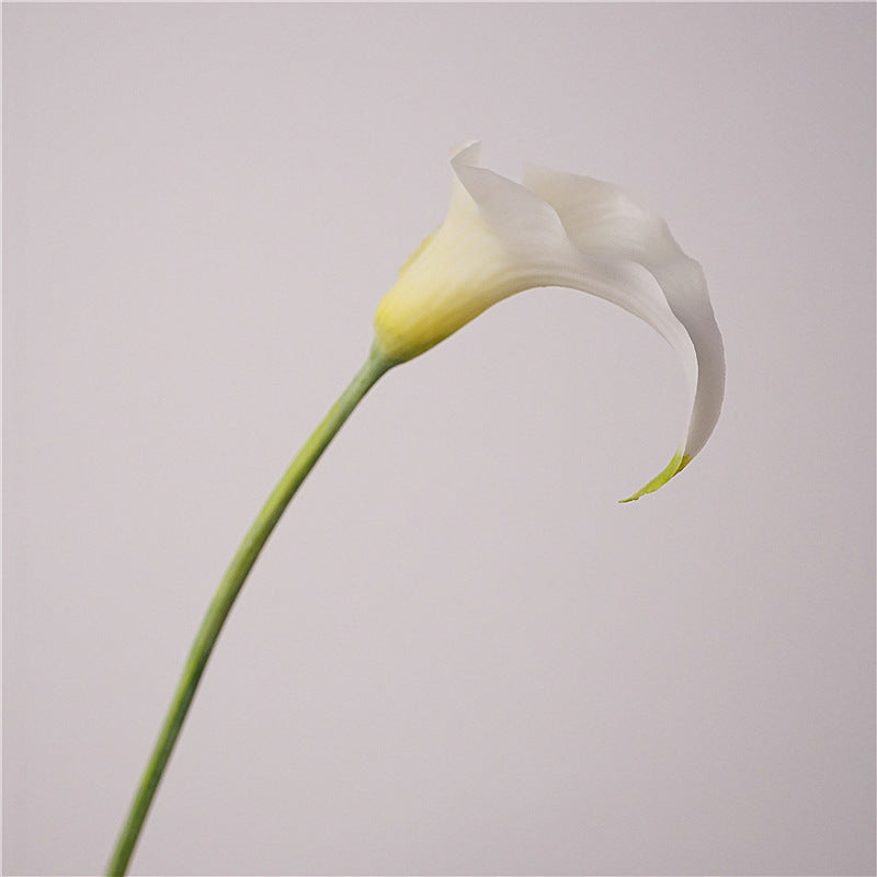 Dutch calla lilies, Artificial flowers, high quality,Suitable for home decoration and making bouquets