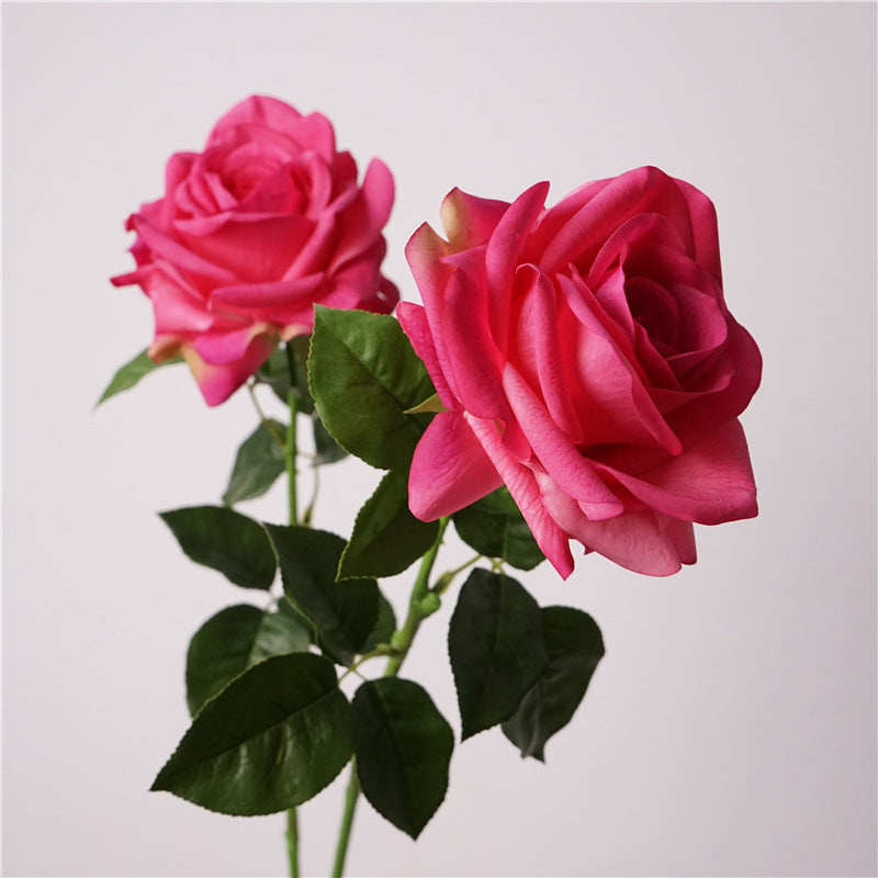 Song of the sea, Rose, Artificial FLower, Vivid