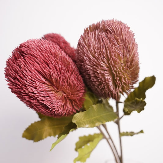 Australian banksia, Artificial Plant