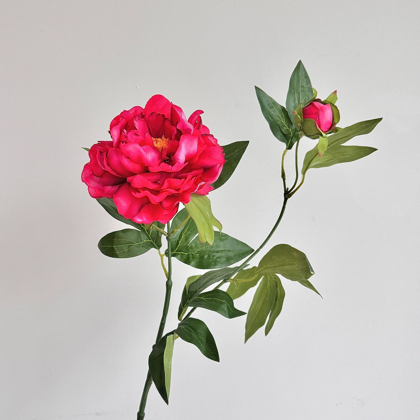 Chinese peony, Artificial Flower, 8Pcs a Pack