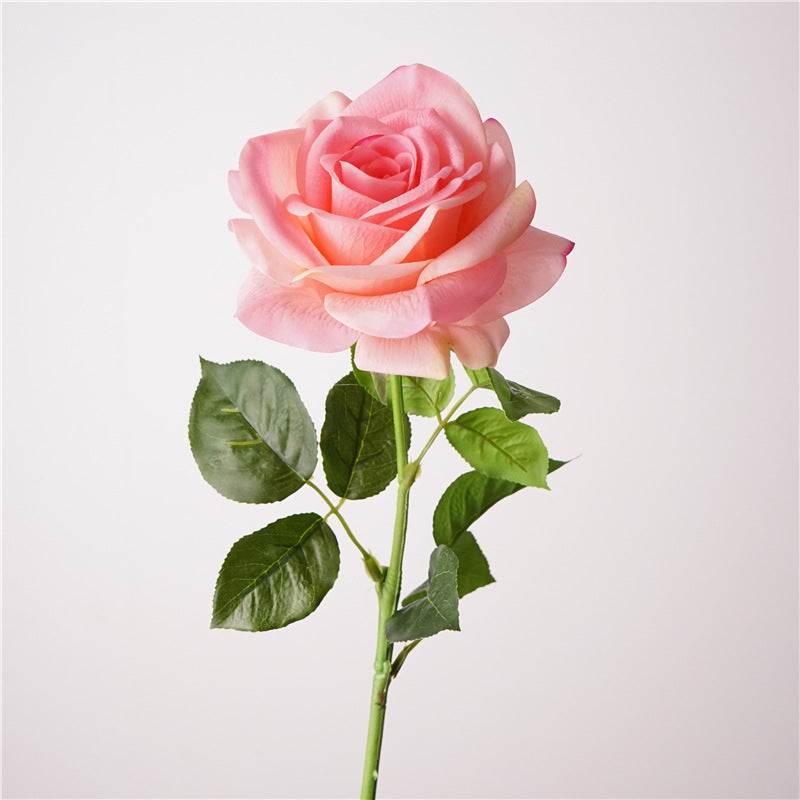 Song of the sea, Rose, Artificial FLower, Vivid