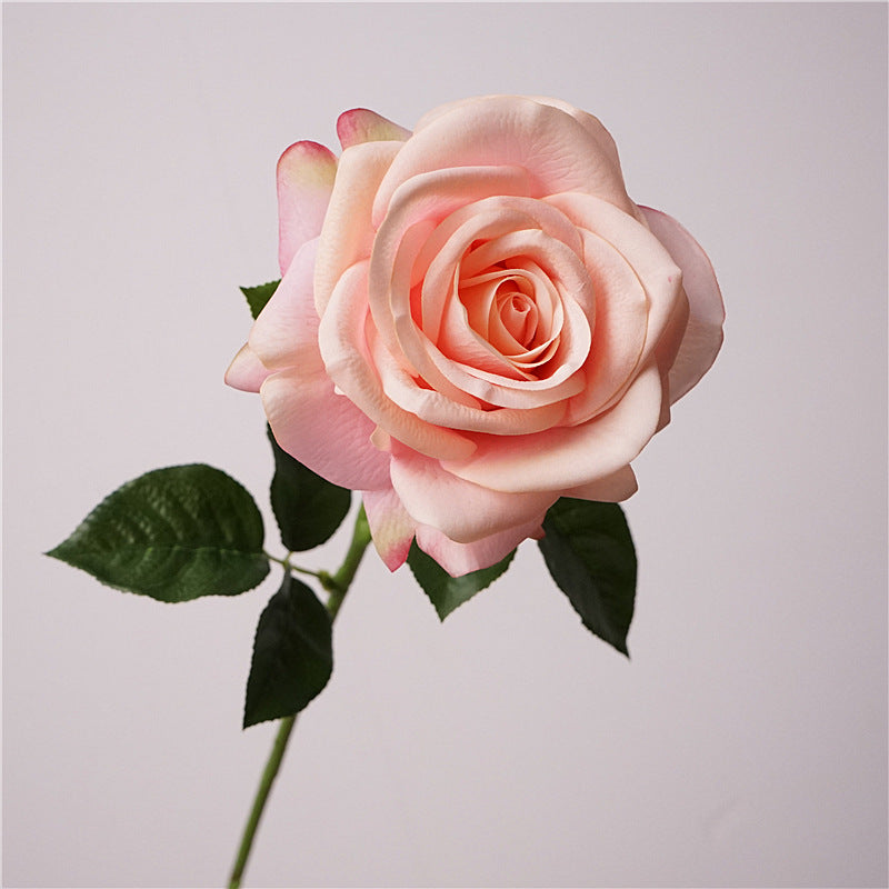 Song of the sea, Rose, Artificial FLower, Vivid