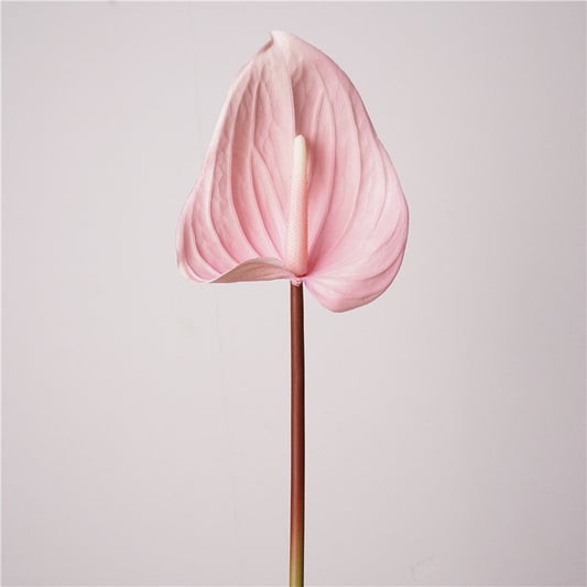 Anthurium, flamingo lily, Artificial Flower, 6Pcs/12Pcs/24Pcs