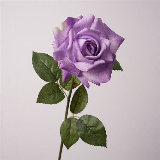 Austin rose, Artificial flower, High quality, moisturizing feel, 8Pcs a Pack